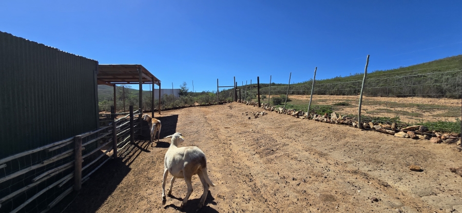 2 Bedroom Property for Sale in Twee Riviere Eastern Cape